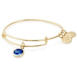 Alex and Ani Sapphire Swarovski bangle